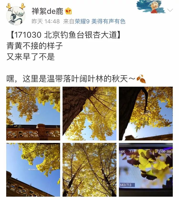 京城赏荷地图高清版,京城赏玉兰最全地图