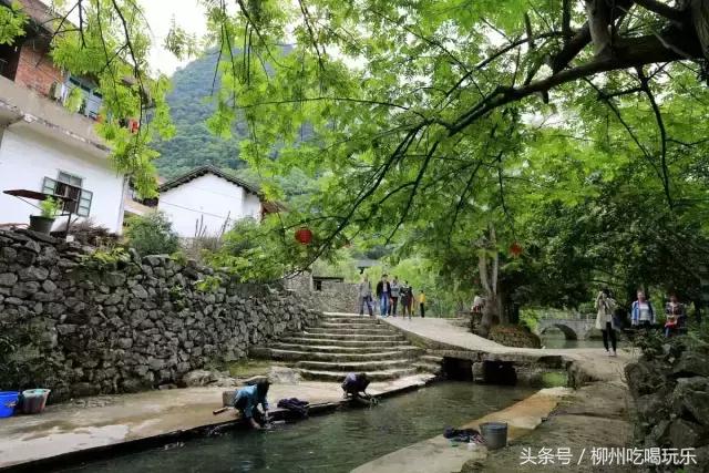 融安有望成为中心城市吗,广西融安县发展规划情况