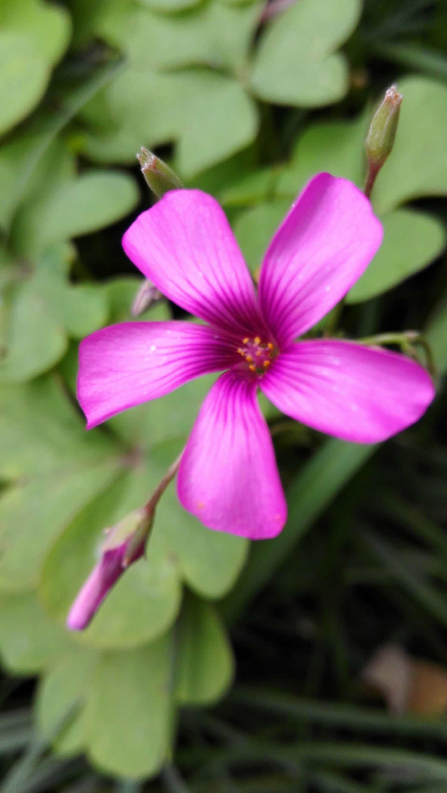 对联风俗,丧葬习俗及对联