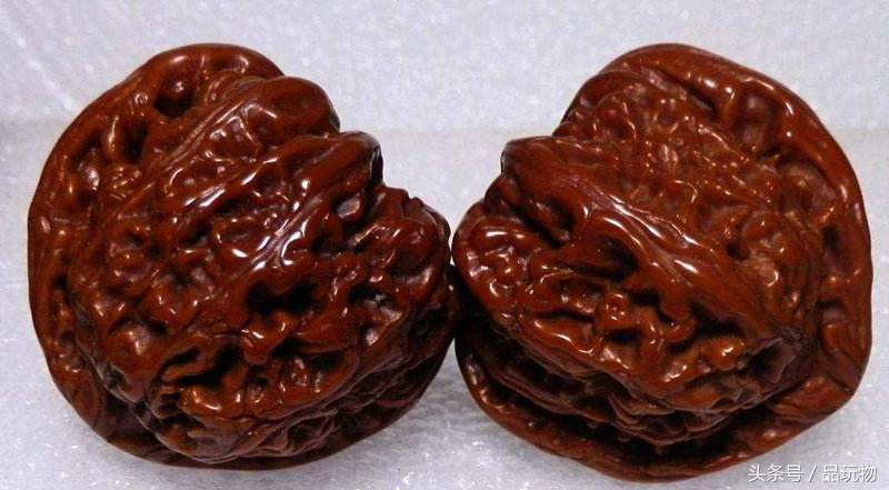 推荐白狮子头,白狮子核桃和四座楼狮子头哪个好