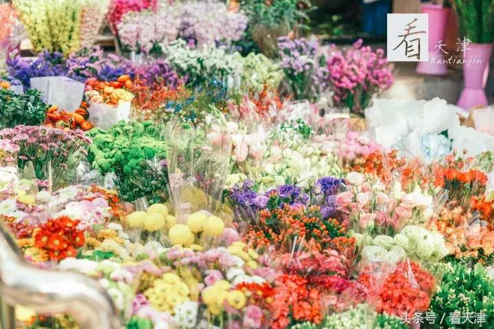 天津宝鸡道花鸟鱼虫市场鹦鹉全吗,天津市宝鸡道花鸟鱼虫市场文玩