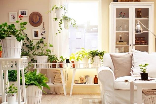 怎么能让自己家“旺财”“旺丁”“顺风顺水”！家装提示！