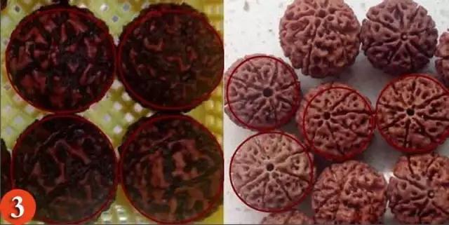 金刚菩提怎么分辨是不是落地红,金刚菩提吊坠识别真假