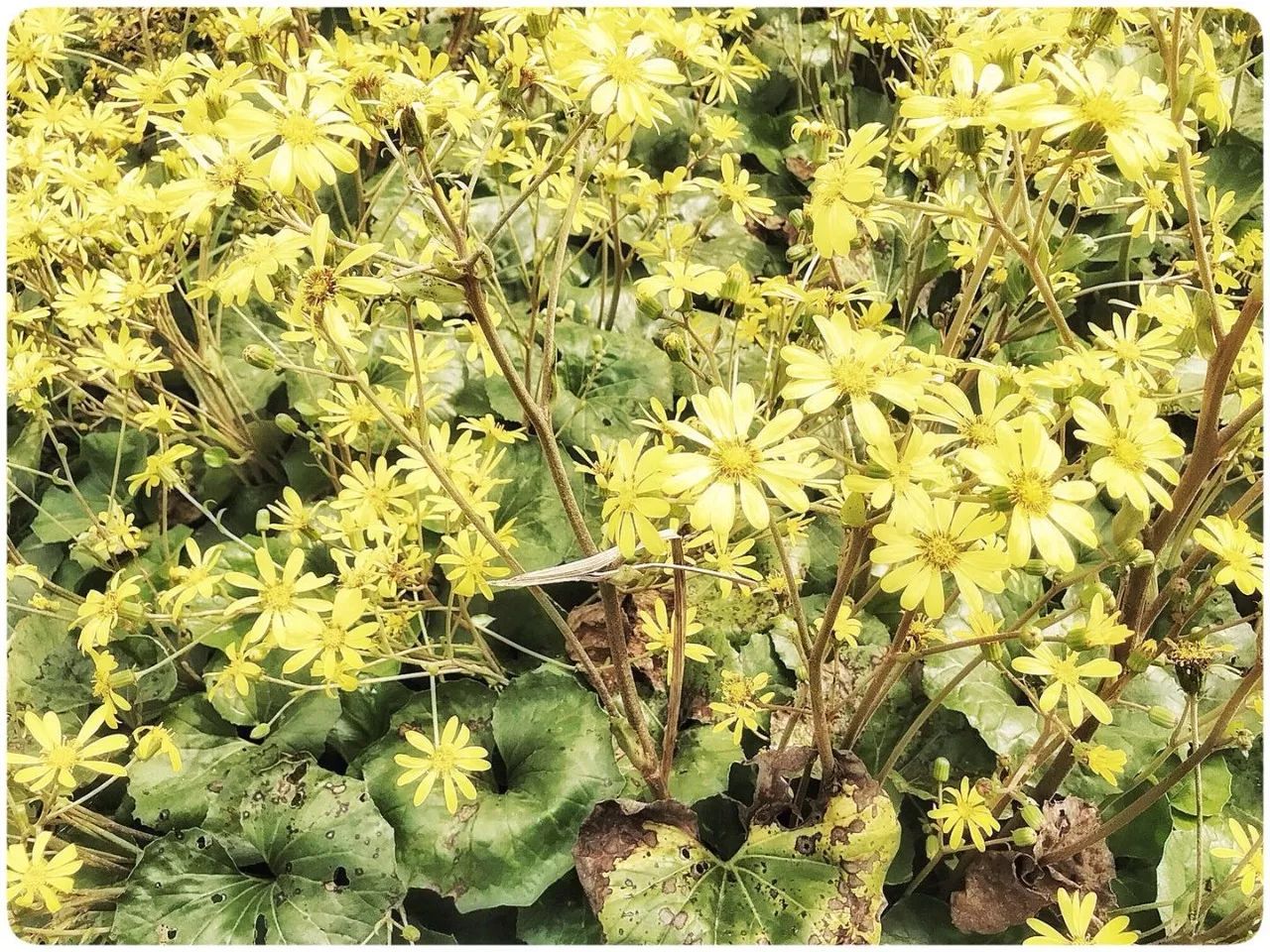 手机摄影作品赏析,手机摄影作品也可以美不胜收