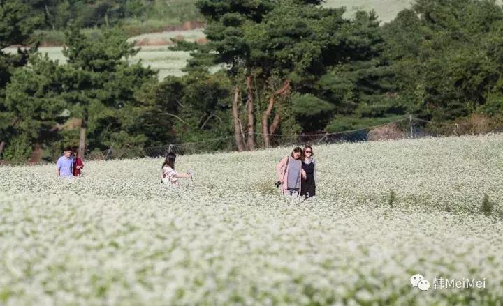 Trip丨如何在济州岛练就“济州瘫”（下部）
