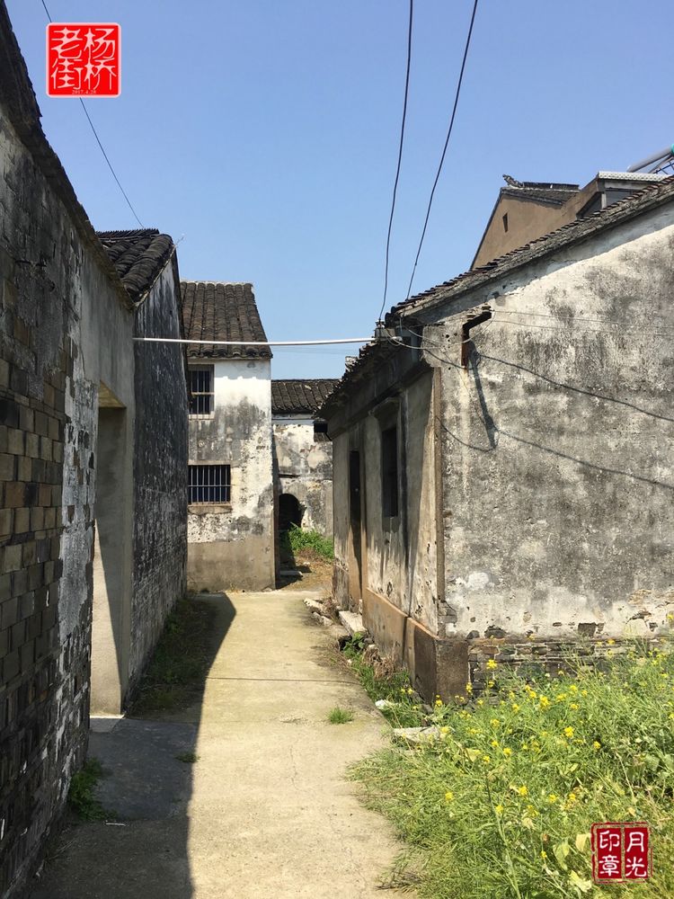 秀丽的江南水乡,这里是一座美丽幽静的江南古镇