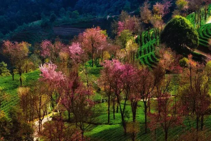 大理没有商业化的旅游景点,大理没被发现的景点