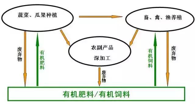 乡村振兴国家重点扶持项目,国家未来三十年重点发展乡村振兴