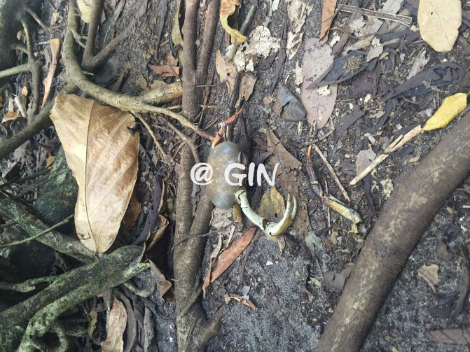 2016年2月泰国普吉-曼谷8天自由行(不走大众景点)·纯干货