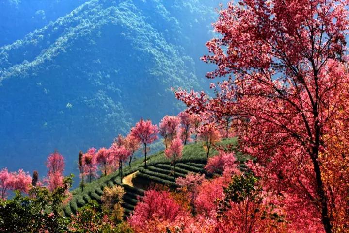 大理没有商业化的旅游景点,大理没被发现的景点