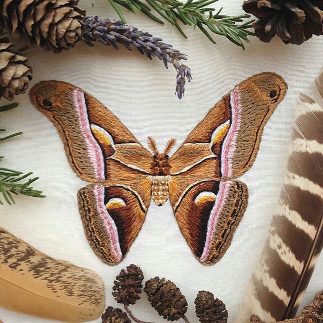 刺绣作品欣赏全部,刺绣大全图