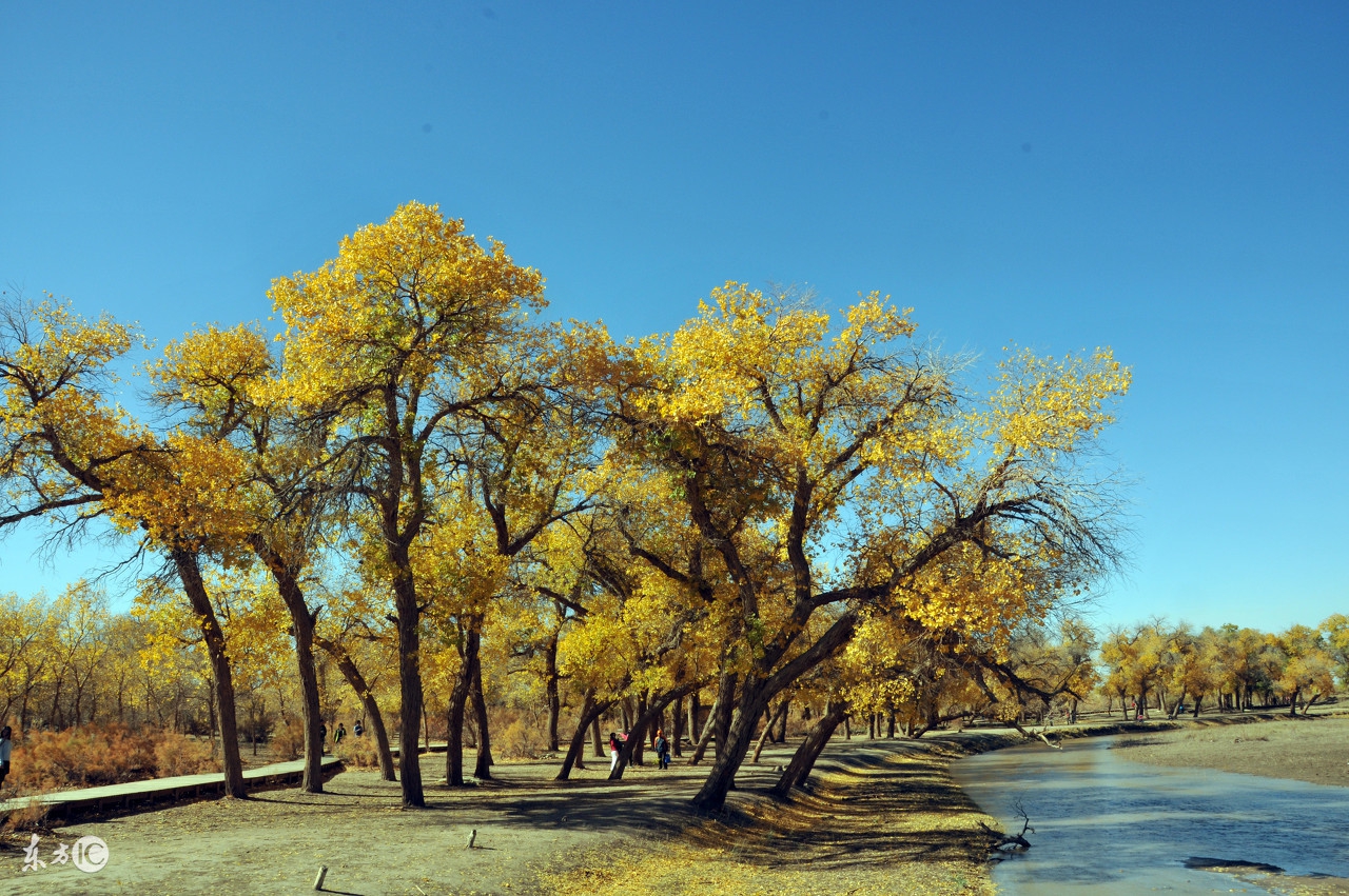 生肖鼠2021年的运势及运程,生肖鼠2023年的运势及运程