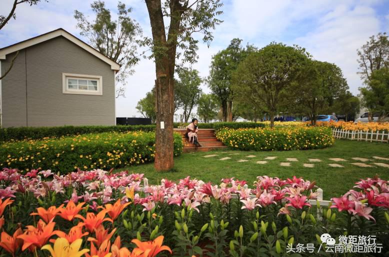 春节免费开放弥勒太平湖森林公园,弥勒太平湖森林公园6月去有花吗