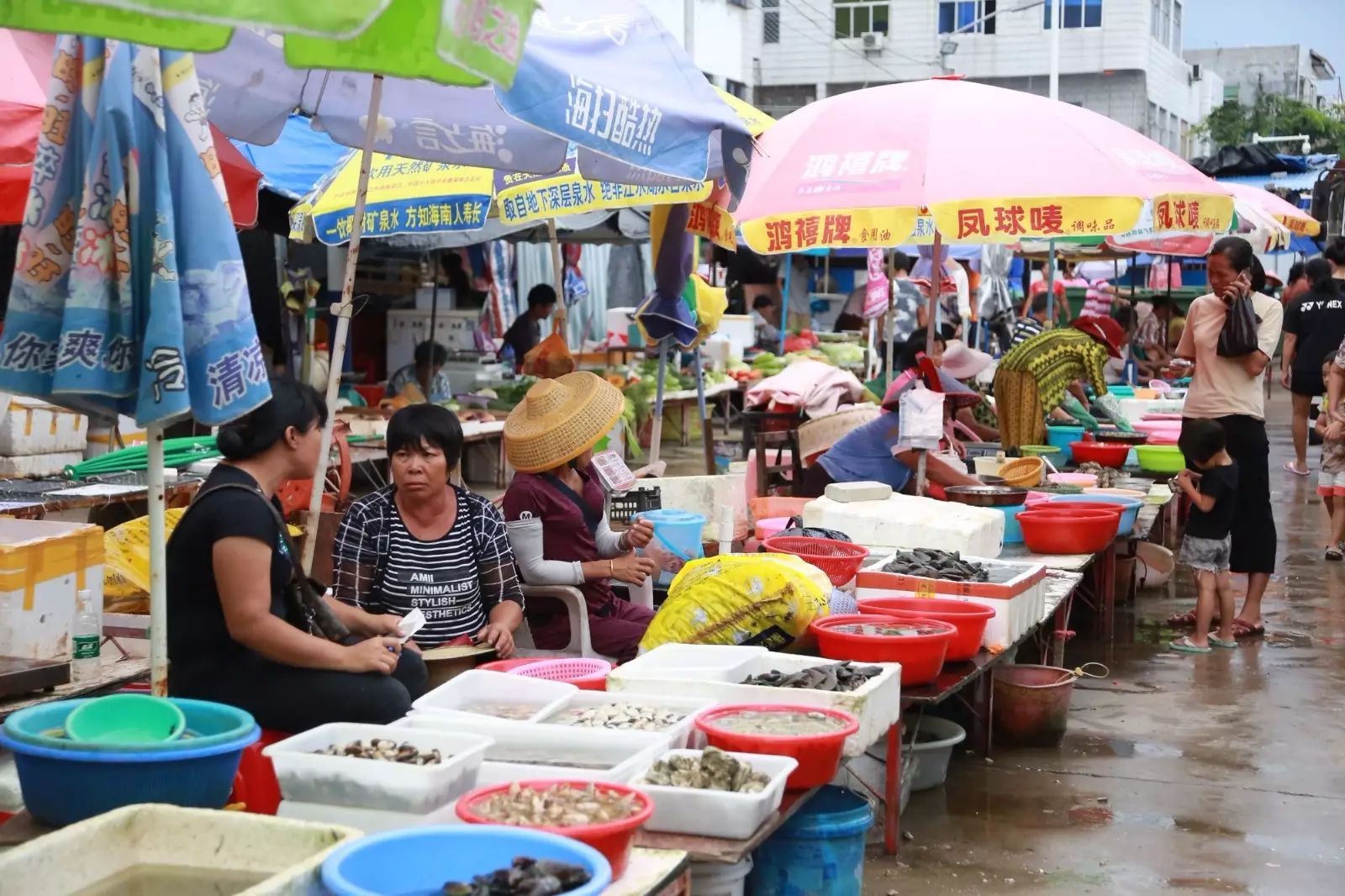 陵水一日游必去的景点,陵水一日游自由行