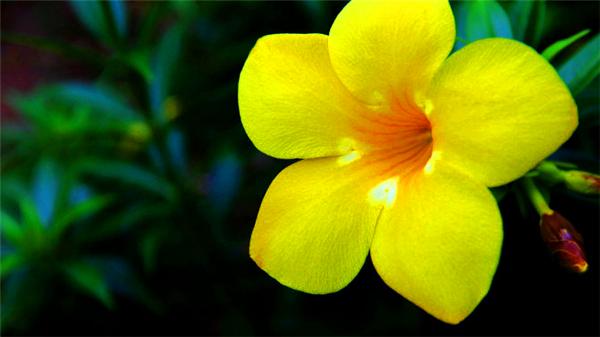 偶遇阳光、海滩在三亚