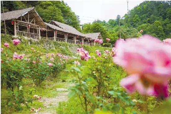 邂逅山野间的精品民宿,邂逅天柱山景区民宿客栈