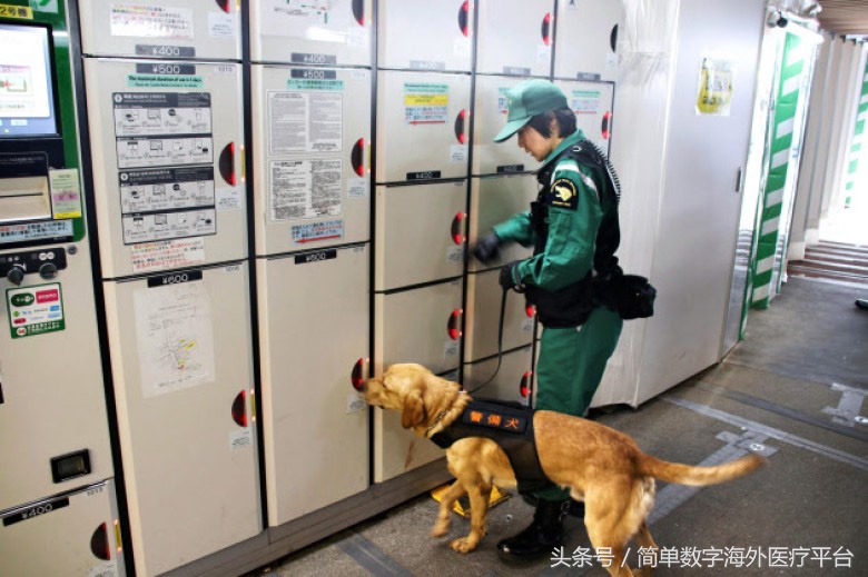 东京地铁规划图2030高清,东京jr地铁线路图