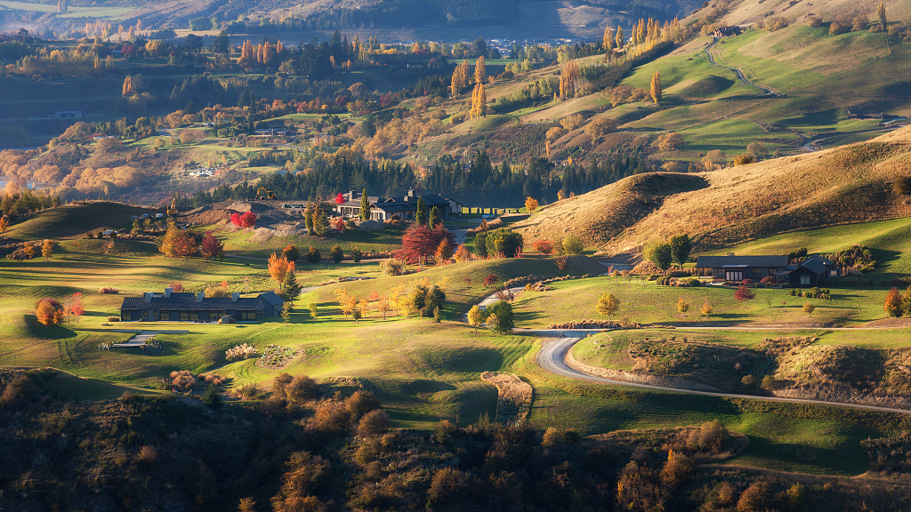 王凯、韩庚、邓紫棋、谢霆锋……明星最近为什么都去新西兰？