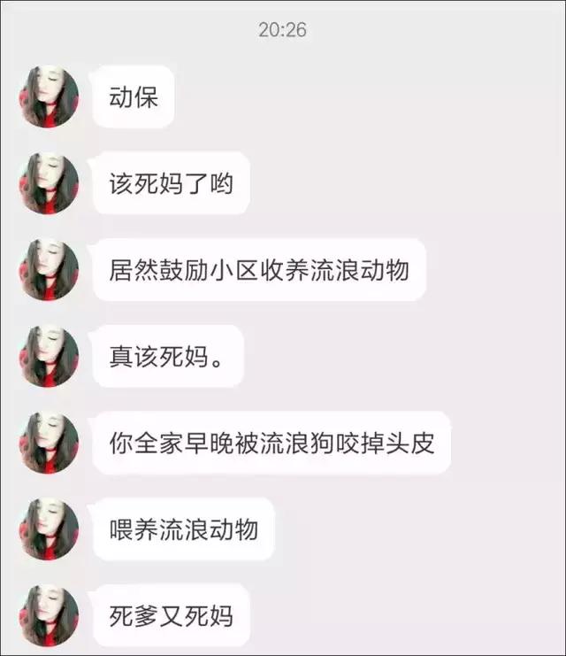 小区物业为流浪猫安了家,物业为流浪猫投放太阳能