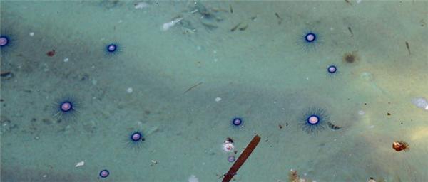 偶遇阳光、海滩在三亚