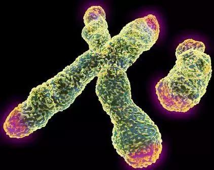 钟丽缇喝苏打水求子，你想生男还是生女？