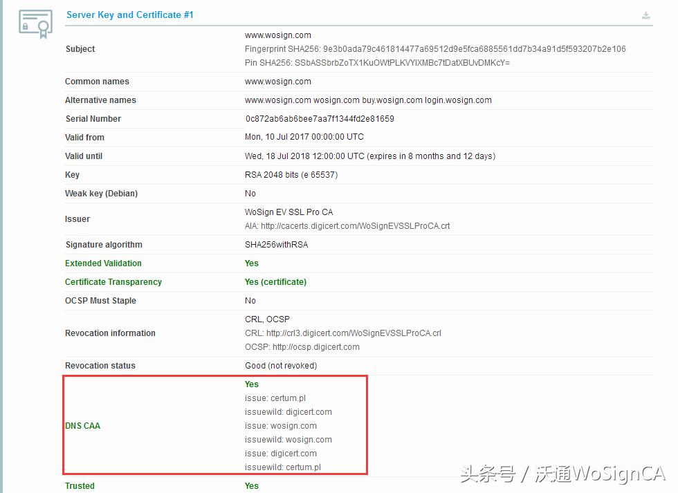设置DNSCAA记录，防止HTTPS证书错误签发