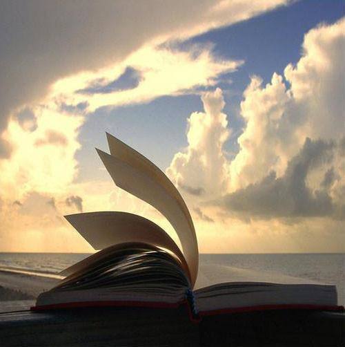 读书有道：该专攻一门还是博学广读