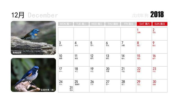 2018年鸟趣日历,太精美了,人手一份,值得收藏!
