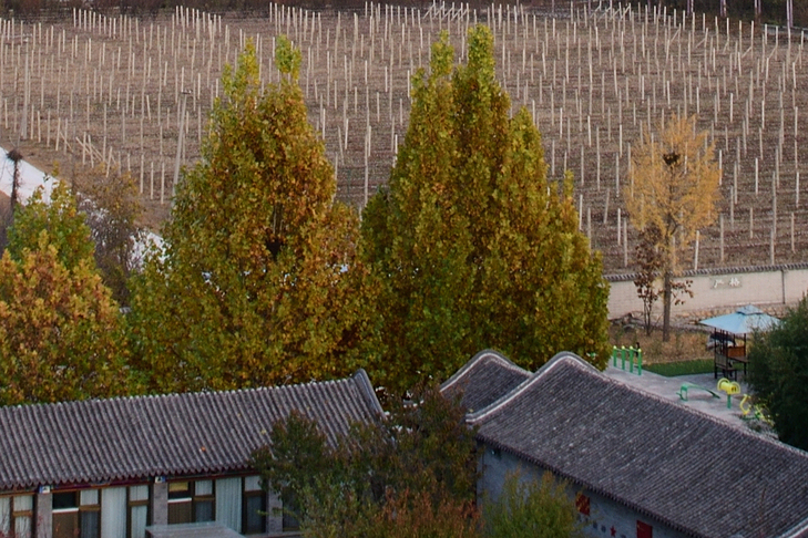 尼康d850如何拍摄出4亿像素,尼康d850各镜头测评