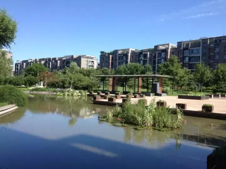 为了逃离雾霾,我在公园旁边买了房子(下)