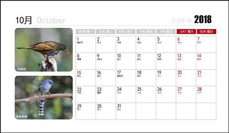2018年鸟趣日历,太精美了,人手一份,值得收藏!