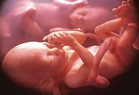 怀孕七大冷知识,各种怀孕小知识