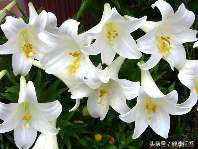 清理子宫垃圾的最佳方法,什么时间段清理子宫的垃圾最好