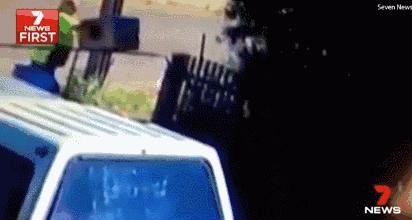 禁止携带或托运入境的物品,禁止携带入境的物品清单