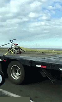 笑死人不偿命的二十二张图,笑死不偿命的女孩图片