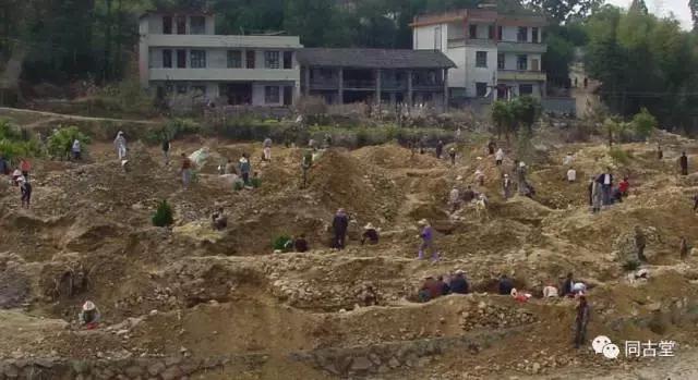 田黄石价值及图片,真正的田黄石图片