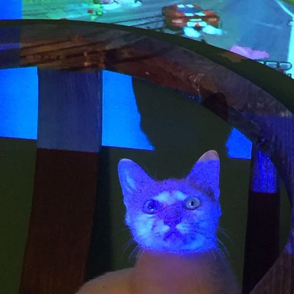 深圳有十几栋房子的90后女房东,90后女孩深圳租房