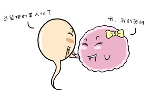 男性内分泌失调对生育的影响,防止内分泌失调平时要注意什么