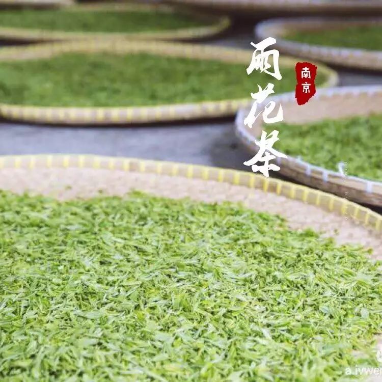 来南京就要买这些，别挑了选我！