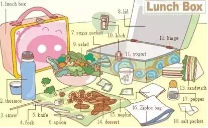 最常用的英语单词汇总表,史上最全英语词汇图