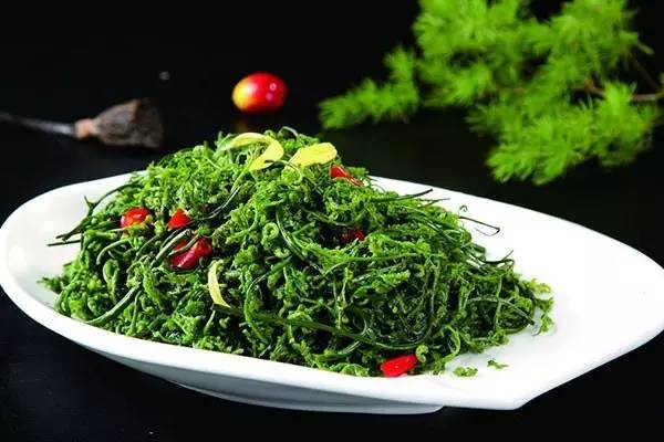 开春挖野菜教你轻松识别18种野菜,您知道春季最养肝护肝的野菜吗