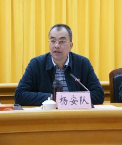 对话｜中山“北大门”东凤镇将要迎来新一轮的大升级！听杨安队说了什么？