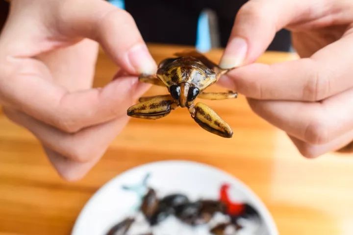 番禺区钟村南站,番禺钟村站