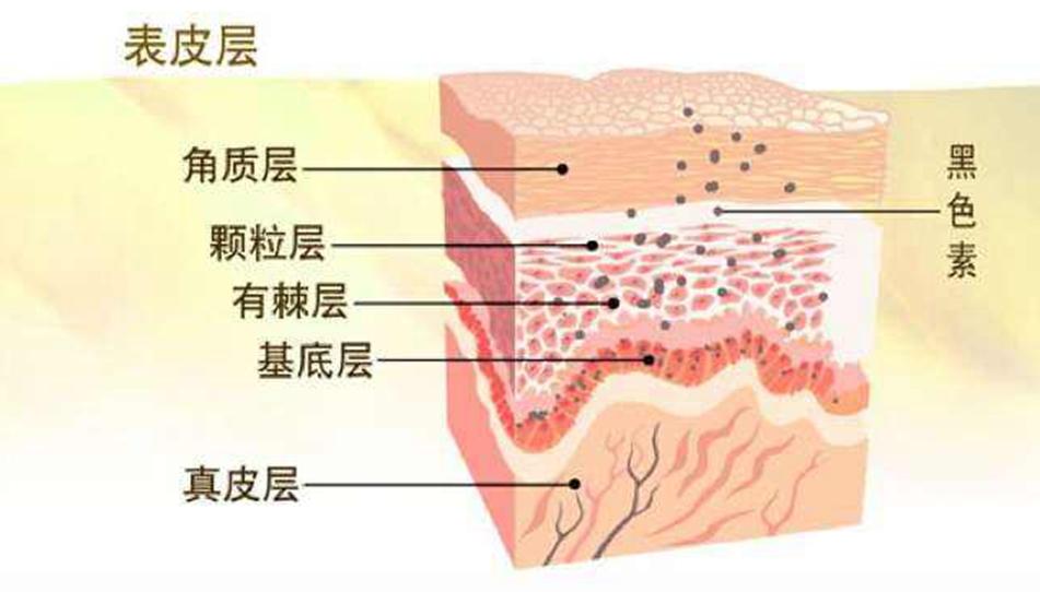 膝盖上黑黑的东西怎么去除,膝盖黑黑的洗不掉是什么原因