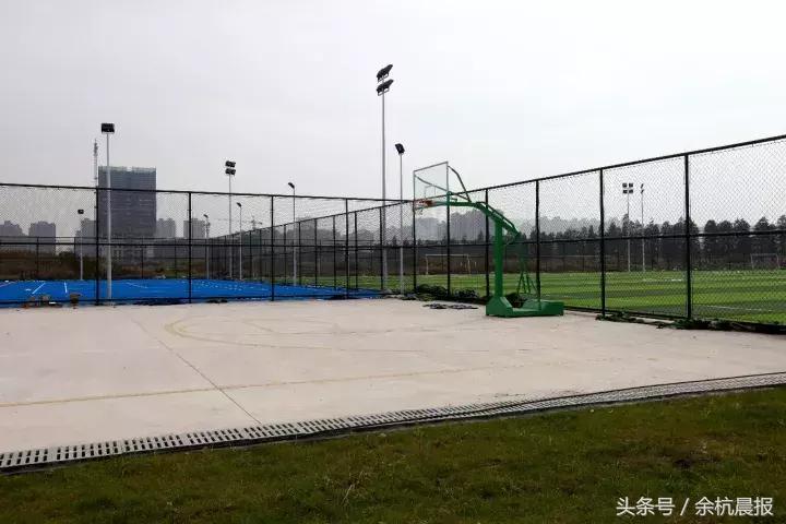 临平体育场最近有什么活动,临平运动中心