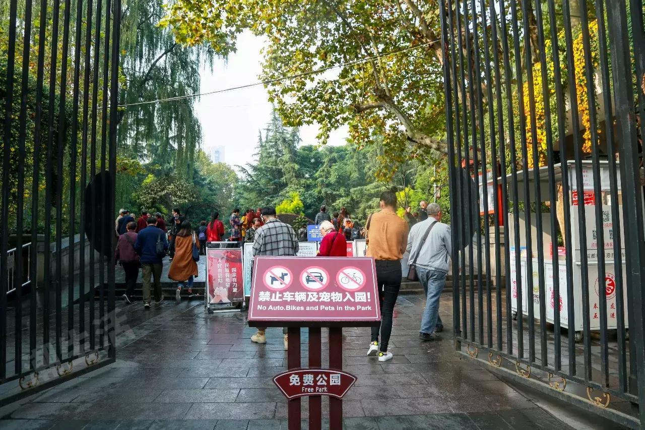 在成都都可以领什么补贴,成都有哪些福利可以领