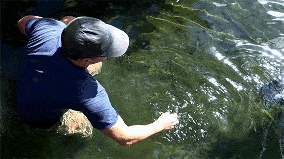 这34个间谍，每天只干一件事：*窥偷**！还拍成电影全球上映？