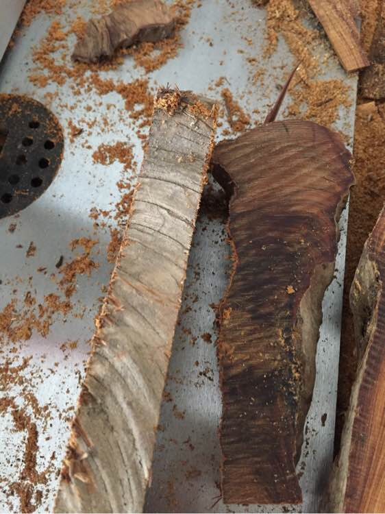 崖柏手串的历史,关于崖柏的那些事