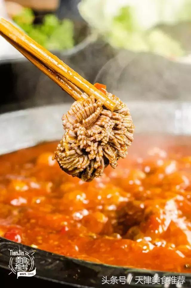 真·霸气十足！火爆成都的KENZO“虎头锅”现身五大道！雄！柒！