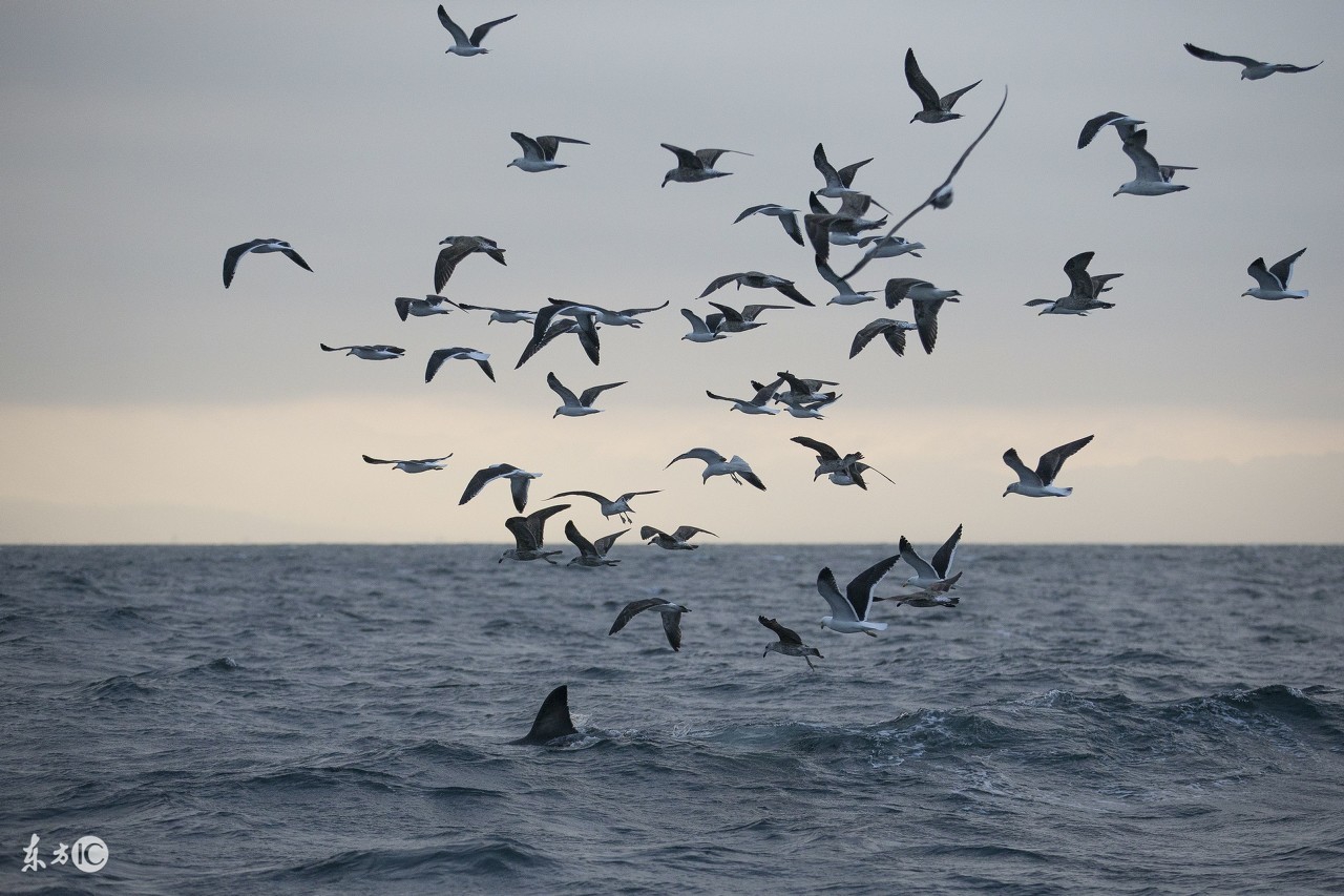 揭秘互联网暴利创业套路,为你揭秘行业内的秘密